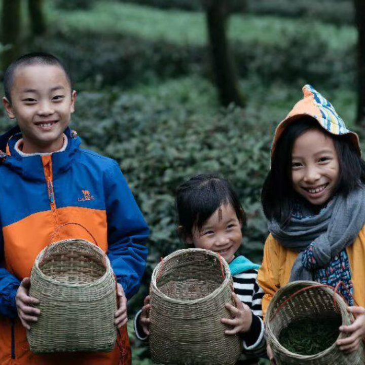 Kids in a tea farm in China
